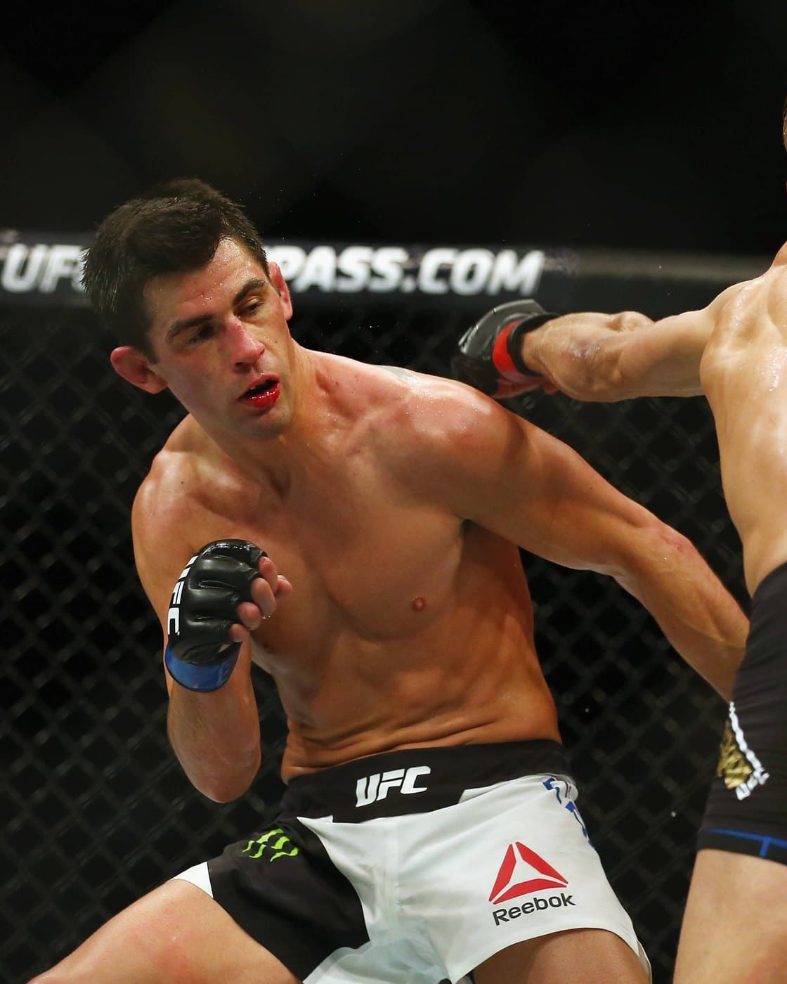 Dominick Cruz fighting in the UFC octagon